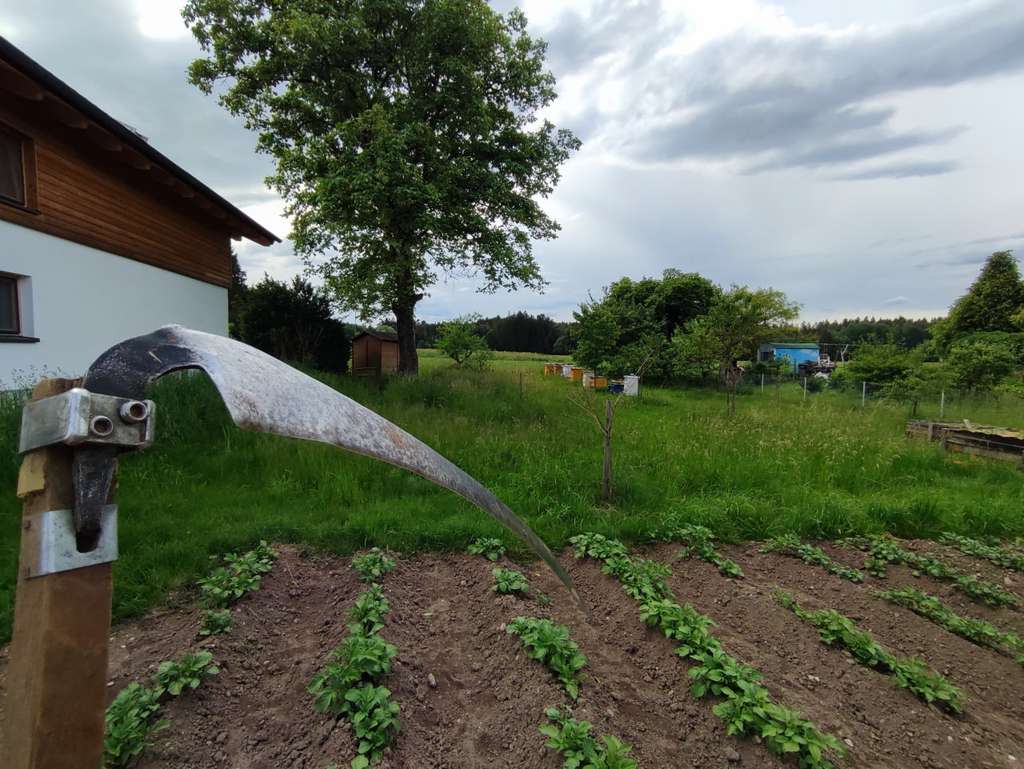Immobilie in Soyen - Der Traum einer jeden Familie Einfamilienhaus freihstehend mit  großem Garten - Bild 4