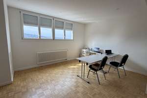 Schöne Villa mit Einliegerwohnung für Büro in Bestlage von Pforzheim, Südoststadt – Großer Lückenweg XY, 75175 Südoststadt, Pforzheim – Vorschaubild 19