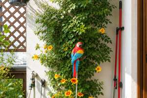 ⭐ Preis reduziert –  Maisonette mit Galerie, Südwest-Balkon und Dachterrasse, TG  Brüser Berg – Die vollständige Adresse der Immobilie erhältst du vom Anbieter., 53125 Brüser Berg, Bonn – Vorschaubild 5
