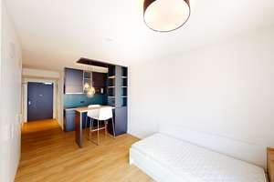 Helle 1-Zimmer-Wohnung mit geschmackvoller Möblierung – 60528 Niederrad, Frankfurt am Main – Vorschaubild 5