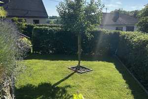 
Moderne Doppelhaushälfte mit 2 Garagen, Terrasse, Garten & Pool – Rhein-Sieg-Kreis – Vorschaubild 18
