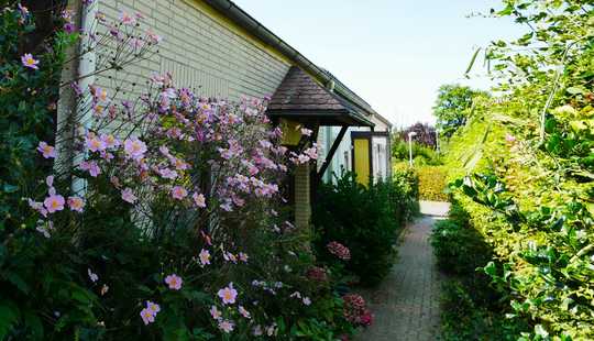 Bild von Gemütliches Reihenmittelhaus in Fachhochschulnähe