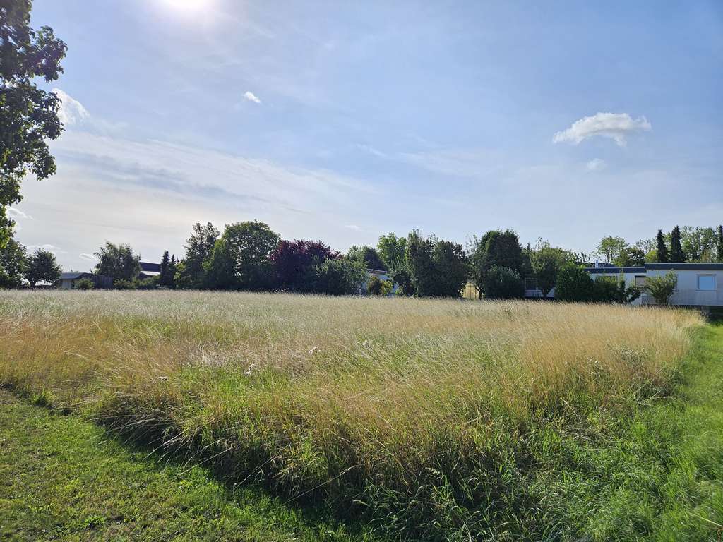 Immobilie in Vahlberg - Ein Zuhause das überzeugt im kommenden Baugeb. in Klein Vahlberg. - Bild 2
