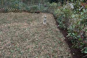 Property thumbnail 20