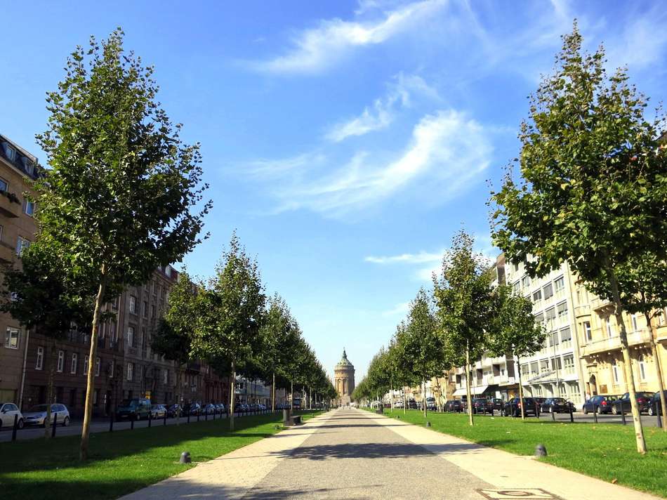 Grüne Allee direkt vor der Tür