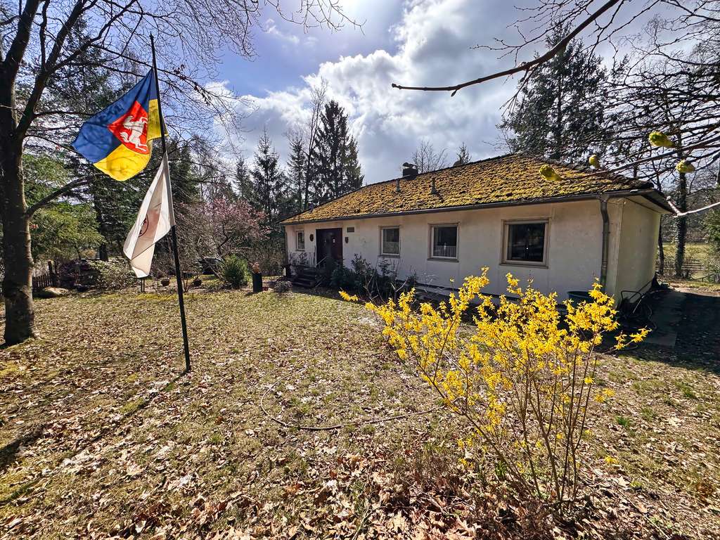 Immobilie in Suderburg - Provisionsfrei von privat: EFH (Bungalow) mit großen Grundstück und Tiefgarage - Bild 3