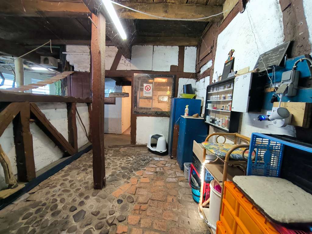 Immobilie in Lemgow - Ein Zuhause fürs Leben: Romantischer Resthof für Generationen & Tierliebhaber im Wendland - Bild 4