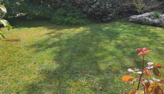 Bild von Uneinsichtiger pflegeleichter Garten, ruhige Lage mit top Infrastruktur