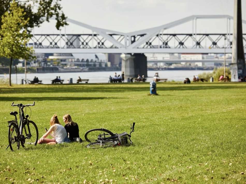 Umgebung (Rheinpromenade)