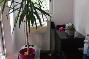 Property thumbnail 24