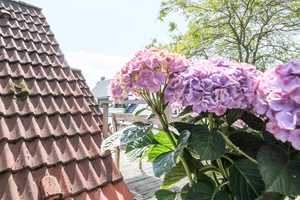 Wohnen mit Charme in Düsseldorf Urdenbach mit großer Sonnenterrasse und Nähe zum Rhein! – Düsseldorf – Vorschaubild 17