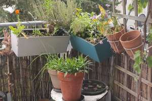 Schöne 3-Zimmer-Wohnung mit Balkon in Aachen – Augustastraße 2, 52070 Kaiserplatz, Aachen – Vorschaubild 3