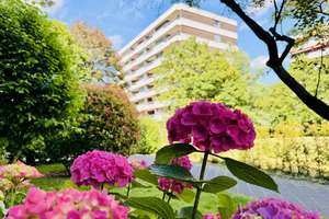 Sanierte Kapitalanlage (mit TG) und Swimming Pool, in Lörick ! – 40547 Lörick, Düsseldorf – Vorschaubild 17