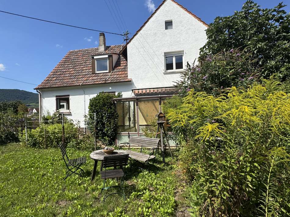 Ansicht Haus Garten (2)