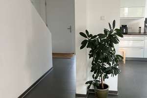 Modernes Einfamilienhaus mit Garten in Wannsee zu vermieten – Am kleinen Anger xx, 14109 Wannsee, Berlin – Vorschaubild 22