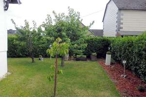 Gepflegtes 5-Zi-Einfamilienhaus mit schönem Garten, Garage und guter Verkehrsanbindung – Die vollständige Adresse der Immobilie erhältst du vom Anbieter., 56759 Eppenberg – Vorschaubild 10