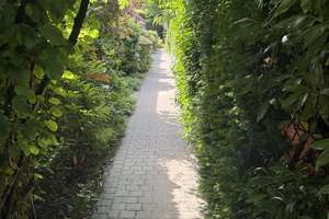 Gepflegtes Einfamilienhaus im Gartenhof-Stil mit hoher Privatssphäre - modernisiert und bezugsbereit – 48165 Hiltrup-West, Münster – Vorschaubild 5