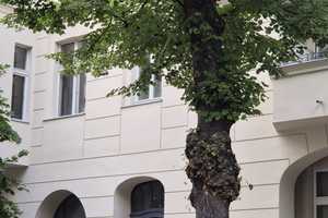 Property thumbnail 27