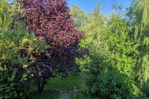 EFH / großer Hausteil mit EBK, Kamin, 2 Terrassen und traumhaftem Garten in direkter Seenähe 🌊 – Die vollständige Adresse der Immobilie erhältst du vom Anbieter., 59519 Möhnesee – Vorschaubild 26