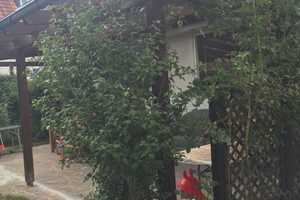 Einfamilienhaus in München Aubing - Termin So 11.05. um 10:00 Uhr - nach ANMELDUNG – Trimburgstraße 3, 81249 München – Vorschaubild 14