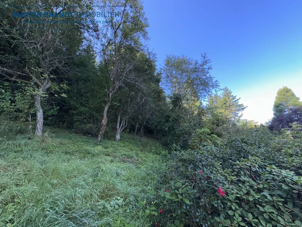 Immobilie in Waldems - Charmantes Einfamilienhaus mit Waldgrundstück ca. 1.958 m² 
in Traumlage von Waldems-Niederems - Bild 3