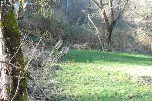 Wohnen im ehemaligen Forsthaus inmitten der Natur – 63937 Weilbach – Vorschaubild 18