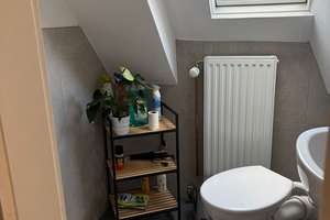 2-Zimmer Dachgeschosswohnung. Ruhiges Wohnen in der List! – Schneckenburger Str. 22, 30177 List, Hannover – Vorschaubild 11