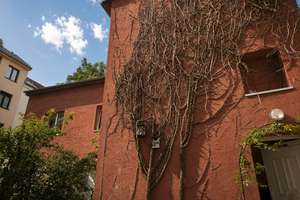 Ein Haus. Drei Einheiten. Eine seltene Gelegenheit. Potsdam-Charlottenhof, 7 Räume, 2 Bäder plus WC – Zeppelinstraße 142, 14471 Brandenburger Vorstadt, Potsdam – Vorschaubild 2