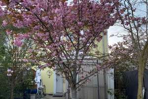 Property thumbnail 23