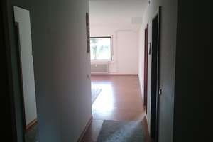 gemütliche Wohnung im Souterrain in Mühltal – 64367 Mühltal – Vorschaubild 2