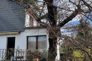 Gepflegtes Einfamilien Haus mit fantastischem Garten und großen Grundstück (von privat) – Berlin – Vorschaubild 125