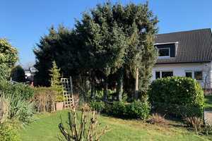 SANKT AUGUSTIN in top Lage, gepflegte Einfam. DHH mit 5-6 Zi., 301 m² GrSt., Keller, Garten, Garage – Rhein-Sieg-Kreis – Vorschaubild 68
