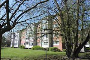 Renovierte 4 Zimmer Wohnung für die kleine Familie frei! – Insterburger Str. 13, 24149 Kiel – Vorschaubild 1