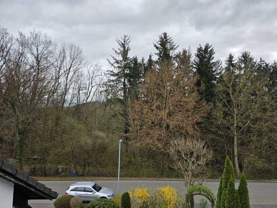 Ausblick