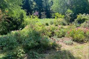 Wer das Besondere liebt ... – Die vollständige Adresse der Immobilie erhältst du vom Anbieter., 66953 Pirmasens, Pirmasens – Vorschaubild 14