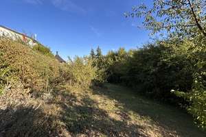Gepflegtes Einfamilienhaus mit Balkon, Garten und Garage! – 63785 Obernburg am Main – Vorschaubild 20