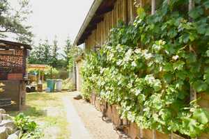 Großzügiges Einfamilienhaus mit Anbau & Nebengebäuden auf 3.200 m² Grundstück – Mühlenbecker Land – Oberhavel (Kreis) – Vorschaubild 11