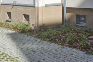 Erstbezug: Fertige Penthouse-Maisonette mit Weitblick – ☎️ 0172-3261193 – Die vollständige Adresse der Immobilie erhältst du vom Anbieter., 10247 Friedrichshain, Berlin – Vorschaubild 17
