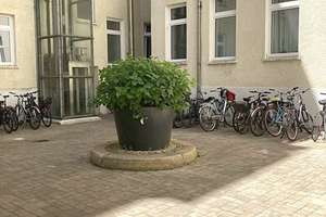Bezugsfreie Wohnung in Prenzl Berg Mitte direkt vom Eigentümer – Zionskirchstr. 11, 10119 Mitte (Ortsteil), Berlin – Vorschaubild 13