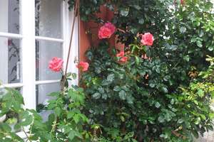 RESERVIERT- Denkmalgeschütztes Stadthaus mit Garten & Kaminofen in bester Innenstadtlage von Herford – Kleine Mauerstr. 3, 32052 Herford – Vorschaubild 30