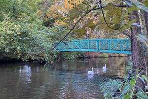 Property thumbnail 9