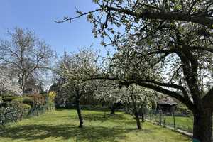 Gut geschn. Doppelhaushälfte mit Potential (Baureserve,GRZ:0,2/GFZ:0,4) in bel. Lage v. Heiligensee! – Silberhammerweg 4a, 13503 Berlin – Vorschaubild 30