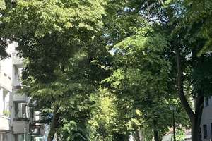 Attraktive 2 Zimmer Eigentumswohnung in Lichtenberg mit Perspektive zur Eigennutzung ab 2030 – Leopold Str. 35, 10317 Rummelsburg, Berlin – Vorschaubild 2