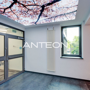 Büroflächen am Grafenberger Wald!