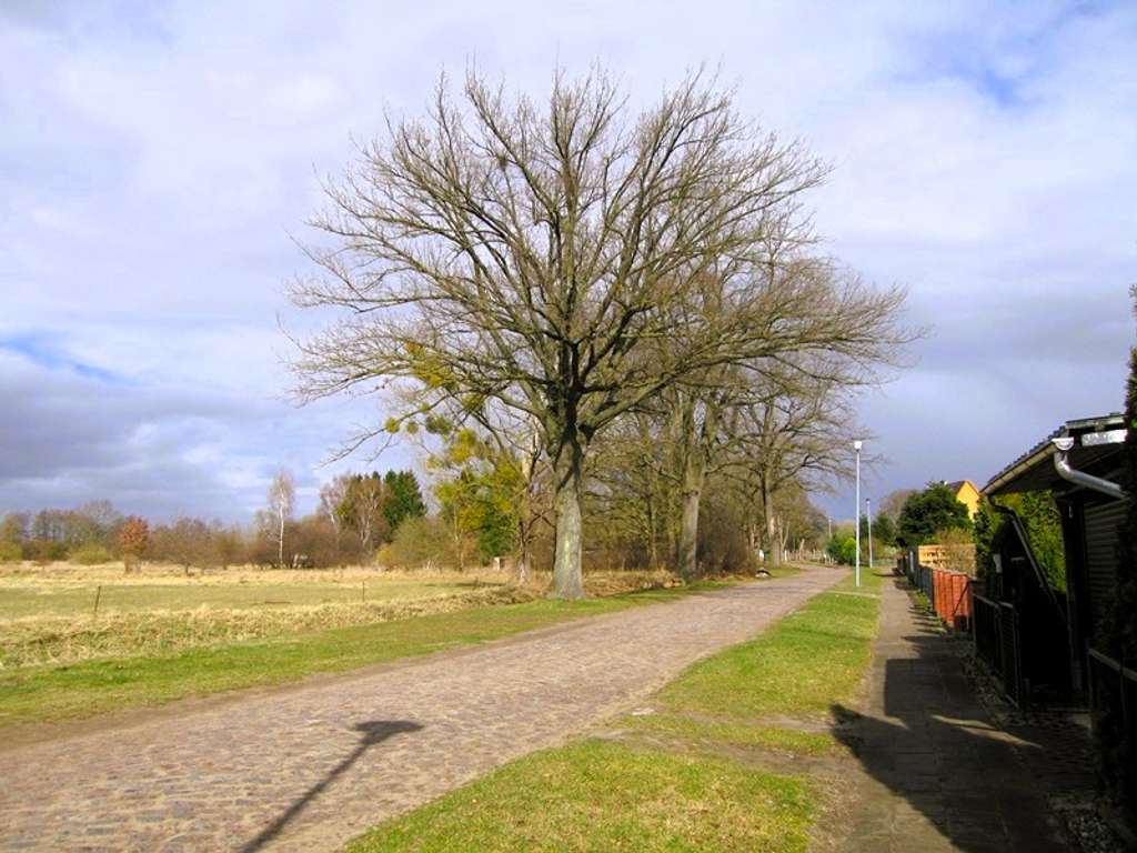 Immobilie in Wilhelmsburg - Wohnen in sehr ruhiger Lage nahe dem Galenbecker See - Bild 1