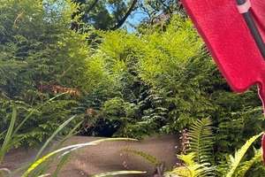 Ruhige Wohnanlage direkt am Park!