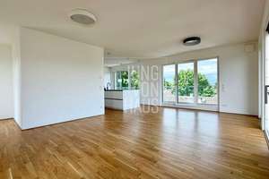 Neubau-Penthouse mit unverwechselbarem Panoramablick - sofort verfügbar!