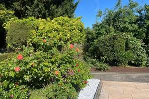 Idyllisches Gartenparadies in Kleinostheim (Wingert): Stilvolles Traumhaus mit Swimmingpool – 63801 Kleinostheim – Vorschaubild 21