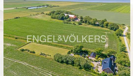 Bild von Exklusives saniertes Landhaus in traumhafter Alleinlage in Meeresnähe – Ein wunderschönes Refugium