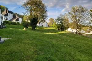 Property thumbnail 10